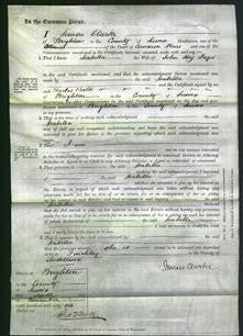 Court of Common Pleas - Isabella Puget-Original Ancestry