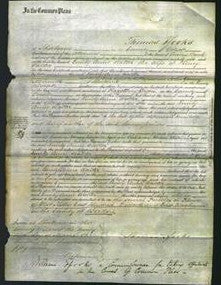 Court of Common Pleas - Emily Anne Walter-Original Ancestry