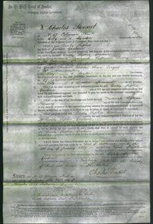 Court of Common Pleas - Emily Sophia Graham-Original Ancestry