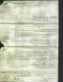 Court of Common Pleas - Dorothy Ann Monins-Original Ancestry