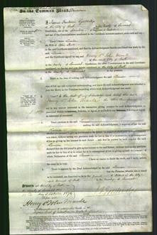 Court of Common Pleas - Louisa Stone-Original Ancestry