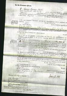 Court of Common Pleas - Elizabeth Rousseau-Original Ancestry