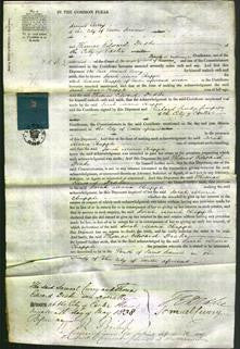 Court of Common Pleas - Sarah Maria Chapple-Original Ancestry