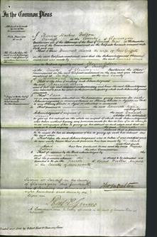 Court of Common Pleas - Hannah Maria Griffiths-Original Ancestry