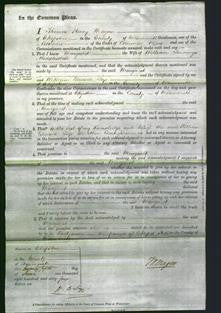 Court of Common Pleas - Margaret Riddlesdale-Original Ancestry