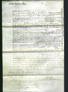 Court of Common Pleas - Frances Margaret Stevens-Original Ancestry