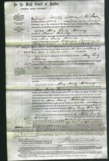 Court of Common Pleas - Mary Emily Holloway-Original Ancestry