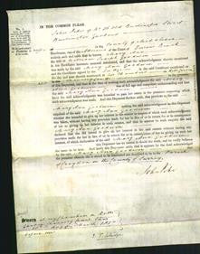 Court of Common Pleas - Mary Ann Goodwin-Original Ancestry