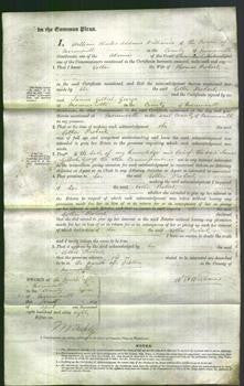 Court of Common Pleas - Esther Probert-Original Ancestry