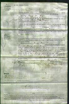 Court of Common Pleas - Mary Ann Swyer-Original Ancestry