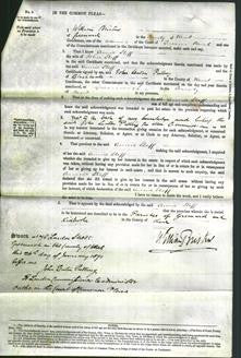 Court of Common Pleas - Annie Staff-Original Ancestry