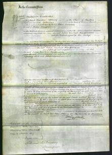 Court of Common Pleas - Julia Caroline Kauffmann-Original Ancestry
