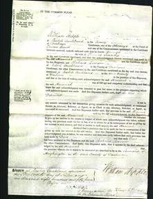 Court of Common Pleas - Hannah Saverby-Original Ancestry