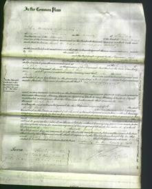 Court of Common Pleas - Sarah Park-Original Ancestry