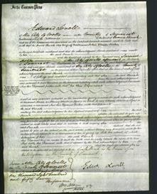 Court of Common Pleas - Sarah Foster-Original Ancestry