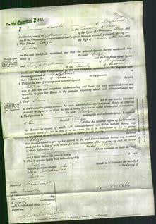 Court of Common Pleas - Eliza Brown-Original Ancestry