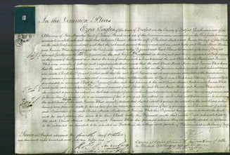 Court of Common Pleas - Anna Maria Mastin-Original Ancestry