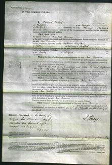Court of Common Pleas - Ann Foreman-Original Ancestry