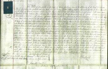 Court of Common Pleas - Elizabeth Rebecca Orchard Hammett-Original Ancestry