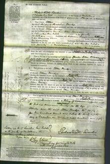 Court of Common Pleas - Ellen Mudge-Original Ancestry