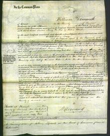 Court of Common Pleas - Susan Mary Chick-Original Ancestry