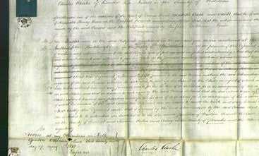 Court of Common Pleas - Emma Bean-Original Ancestry