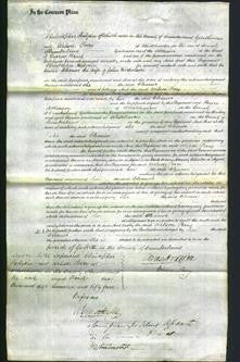 Court of Common Pleas - Eleanor Nicholson-Original Ancestry