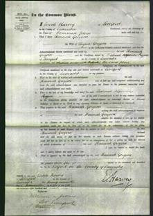 Court of Common Pleas - Hannah Gregson-Original Ancestry