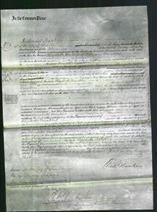 Court of Common Pleas - Elizabeth Venables-Original Ancestry