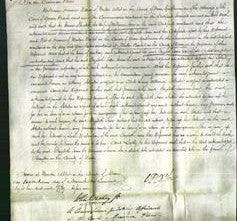 Court of Common Pleas - Elizabeth Snow-Original Ancestry