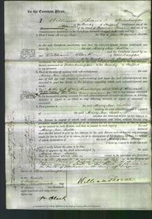 Court of Common Pleas - Mary Ann Sadler-Original Ancestry