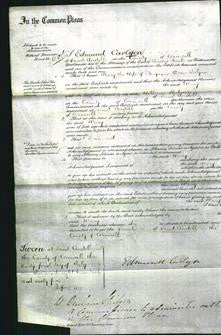 Court of Common Pleas - Mary Julyan-Original Ancestry