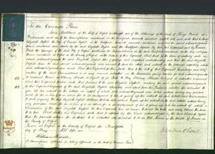 Court of Common Pleas - Elizabeth Foghill-Original Ancestry