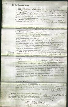 Court of Common Pleas - Sarah Ellen Nuttall-Original Ancestry