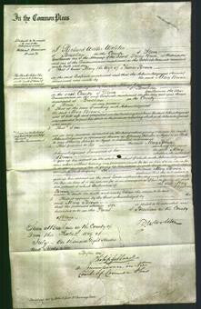 Court of Common Pleas - Mary Brown-Original Ancestry