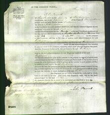 Court of Common Pleas - Catherine Osborne-Original Ancestry