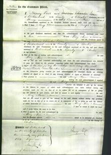 Court of Common Pleas - Mary Ann Janion-Original Ancestry