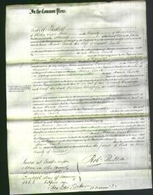 Court of Common Pleas - Maria Quick-Original Ancestry