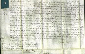 Court of Common Pleas - Rebecca Cheeseman-Original Ancestry