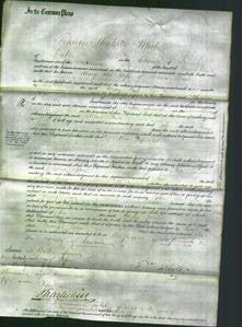 Court of Common Pleas - Mary Pears-Original Ancestry