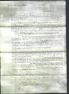 Court of Common Pleas - Mary Ann Prince-Original Ancestry