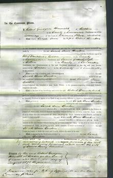 Court of Common Pleas - Sarah Ann Burton-Original Ancestry