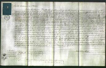 Court of Common Pleas - Charlotte Bright-Original Ancestry
