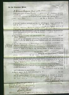 Court of Common Pleas - Ellen Robinson-Original Ancestry