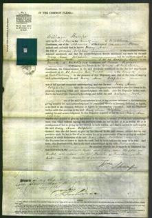 Court of Common Pleas - Mary Ann Dolphin-Original Ancestry