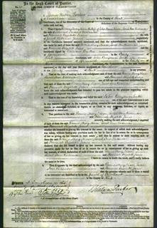 Court of Common Pleas - Rosina Mary Nixon, Sarah Ann Verlander and Hannah Elizabeth Jeans-Original Ancestry