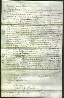 Court of Common Pleas - Eleanora Robins-Original Ancestry