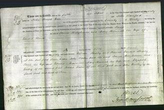 Deed by Married Women - Sarah Hodgkinson and Mary Hannah Reaves-Original Ancestry