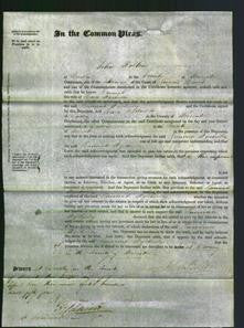 Court of Common Pleas - Hannah Wycherley-Original Ancestry