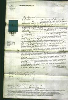 Court of Common Pleas - Mary Maria Kenyon Corjeag-Original Ancestry